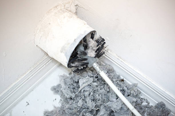 Best Air Duct Mold Removal  in Shiprock, NM